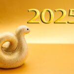 2025年1月の心境と今年の抱負