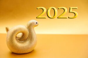 2025年1月の心境と今年の抱負